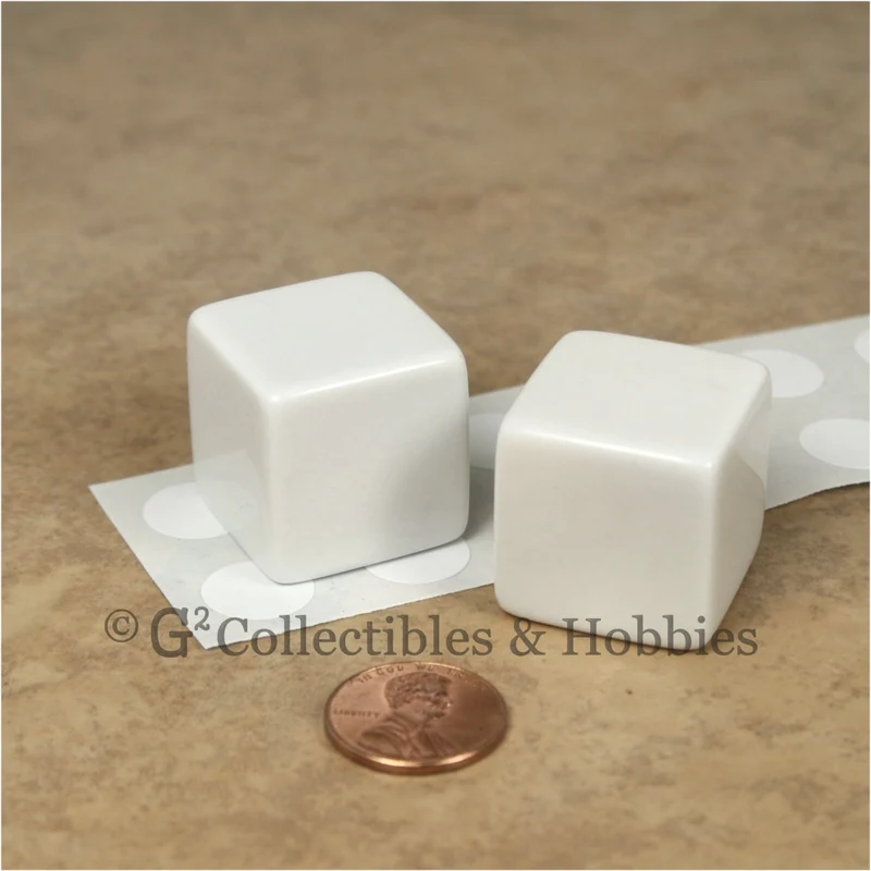 D6 25mm Blank White Dice Pair