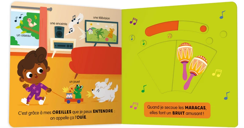 Livre anim'agier | Les 5 sens