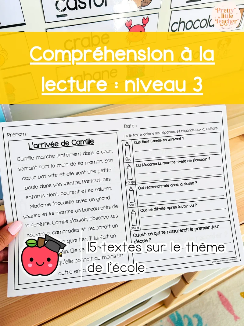 Pack annuel : compréhensions à la lecture niveau 3