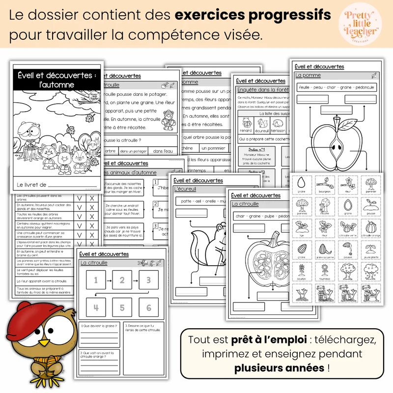 Éveil et découvertes : l'automne