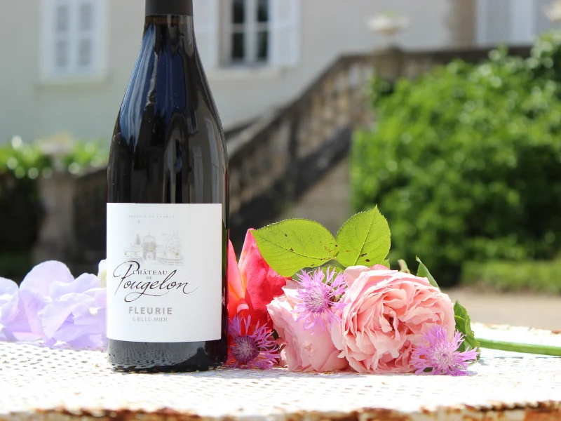 Coffret vin du Beaujolais 2 bouteilles rouge