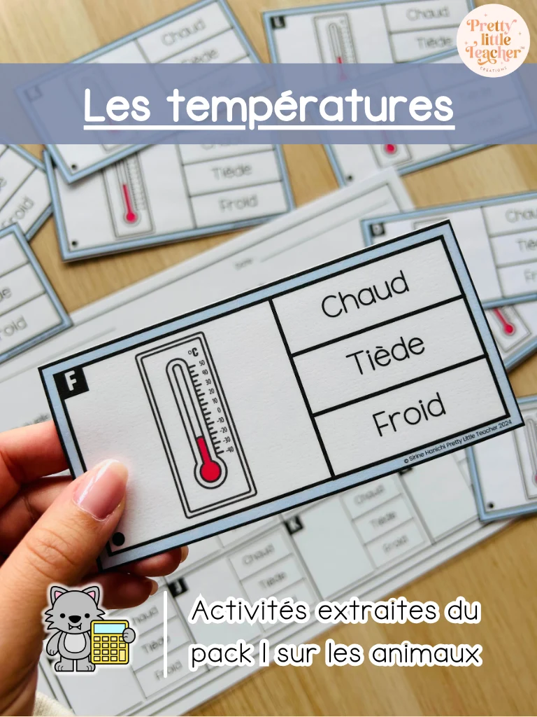 Les températures : thermomètres (3x)