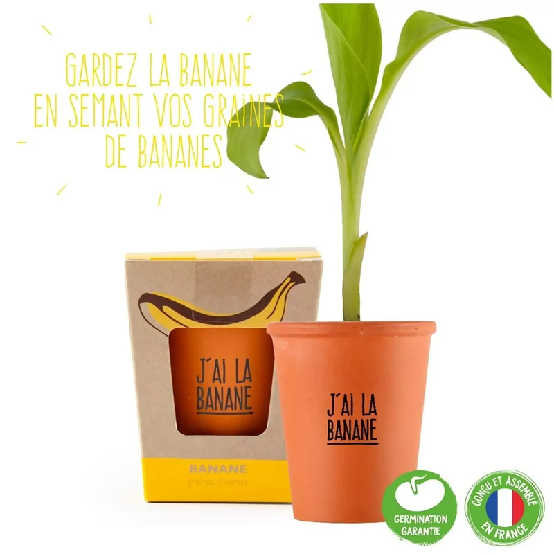 Kit de culture bananier "J'ai la banane"