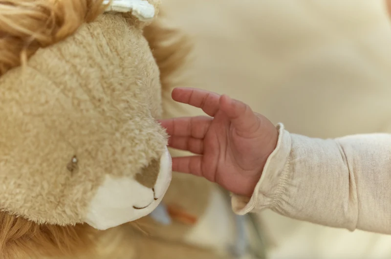 Peluche d'activités | Safari Friends Lion