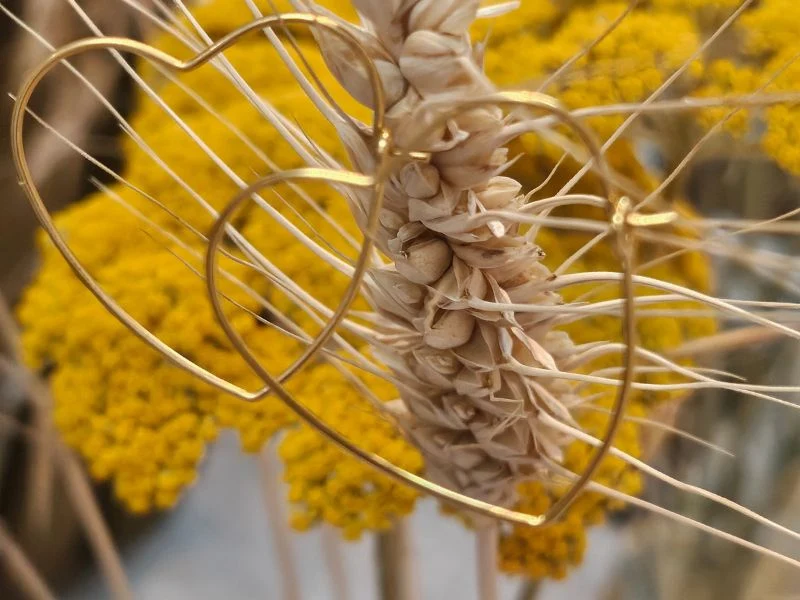Créoles forme Cœur fil doré or fin