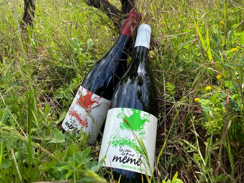Coffret vin du Beaujolais 2 bouteilles rouge et blanc AOC Beaujolais