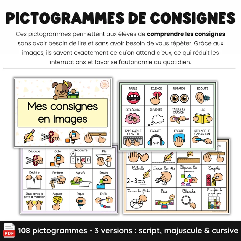 Les consignes en images - pictogrammes