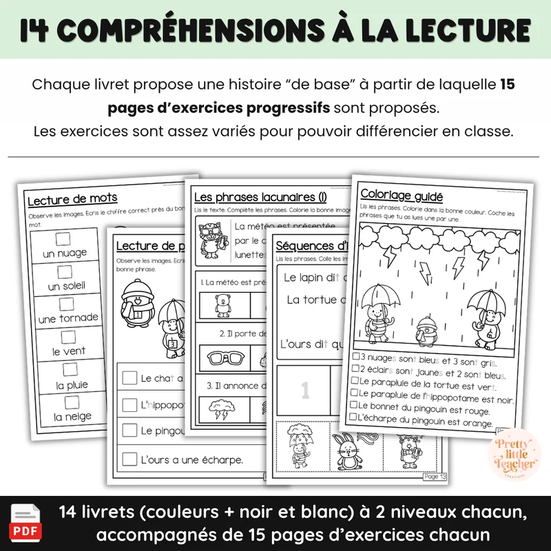 Pack pour les bons lecteurs : 14 livrets de lecture sur les animaux + exercices