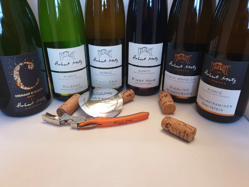 Coffret Immersion en Alsace (blancs secs, fruités, et rouge)