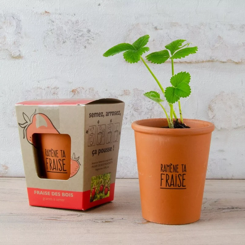 Kit de culture fraises des bois "Ramène ta fraise"