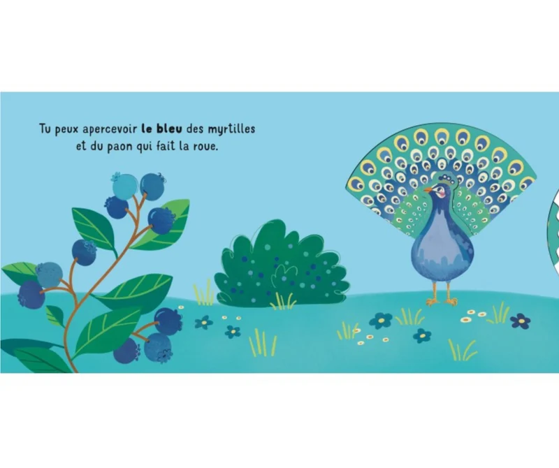 Livre | Glisse et découvre les couleurs