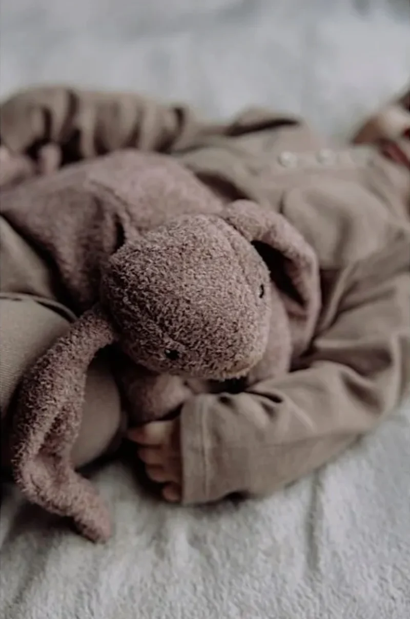 Peluche bouillotte | Lapin rubis