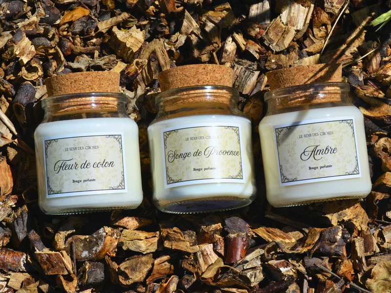 Trio de bougies végétales parfumées