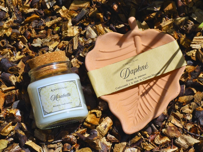 Bougie végétale et vide-poche feuille Daphné