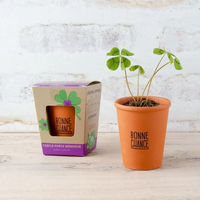 Kit de plantation trèfles à 4 feuilles - Bonne chance