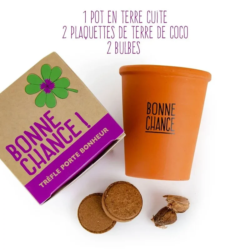 Kit de plantation trèfles à 4 feuilles - Bonne chance