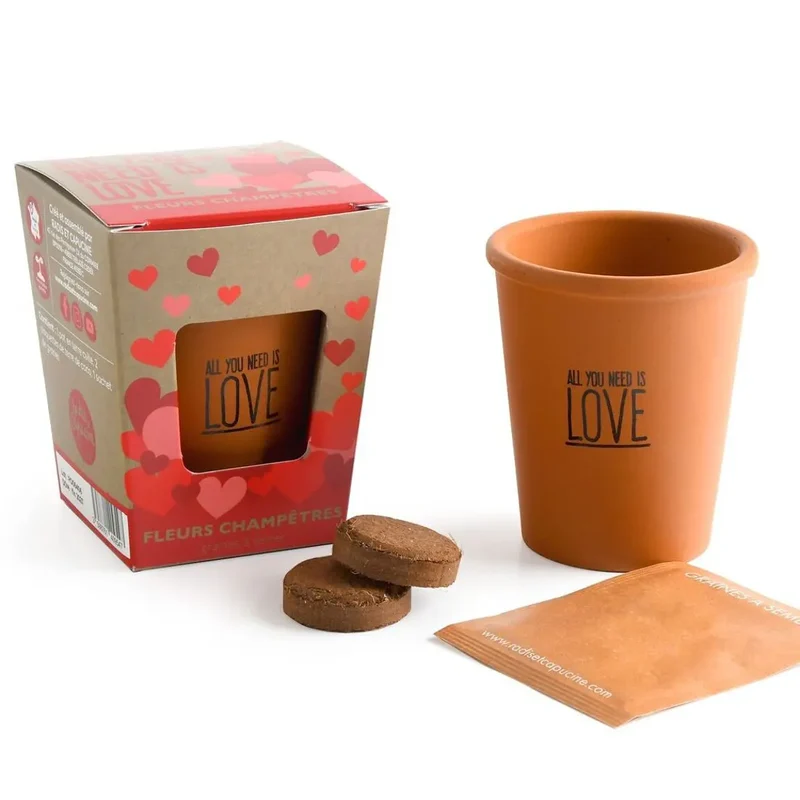 Kit de plantation fleurs - All you need is love