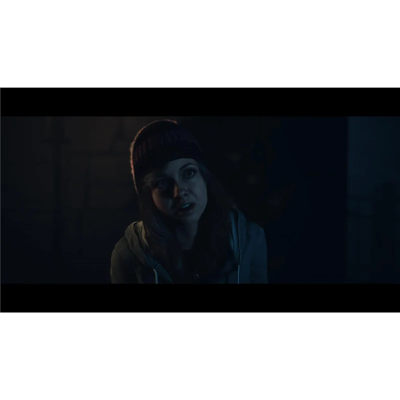 Until Dawn