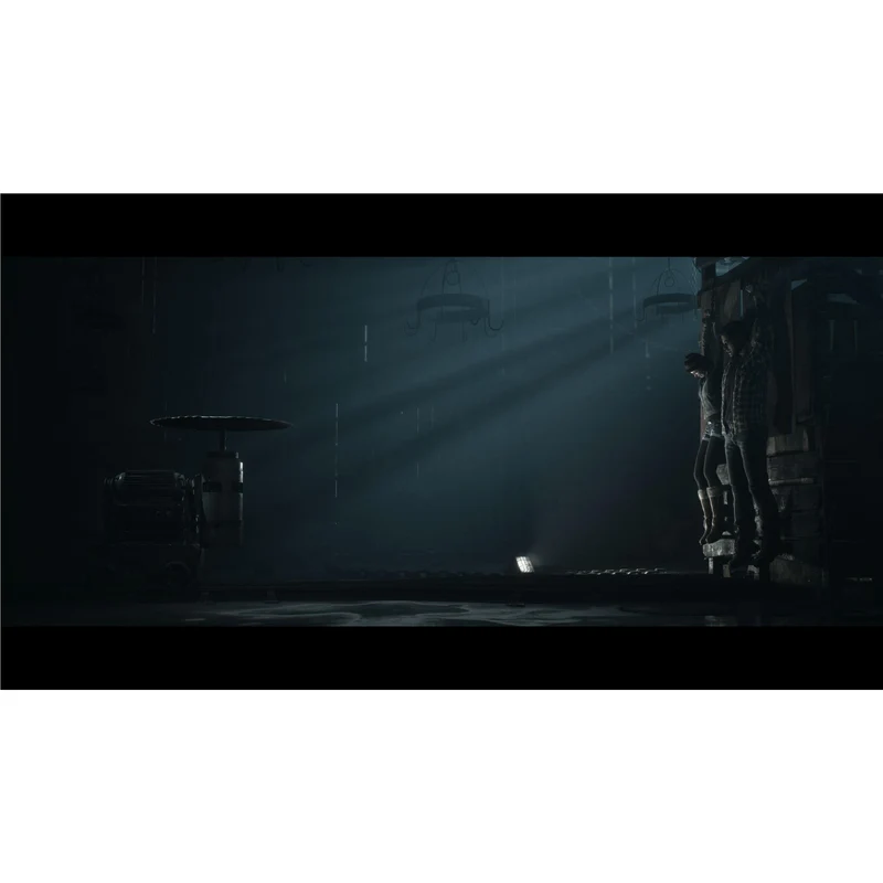 Until Dawn