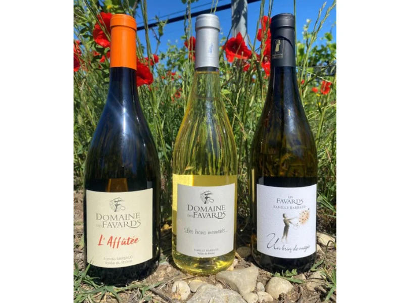 COFFRET VIN DU RHÔNE BIO 3 BOUTEILLES BLANC AOC CÔTES-DU-RHÔNE