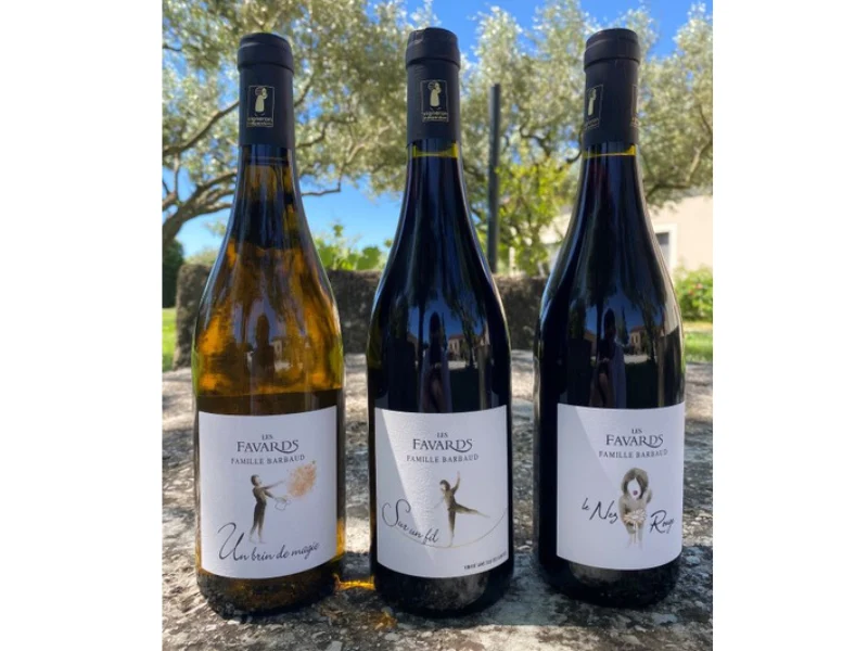 COFFRET VIN DU RHÔNE BIO 3 BOUTEILLES BLANC/ROUGE AOC CÔTES-DU-RHÔNE