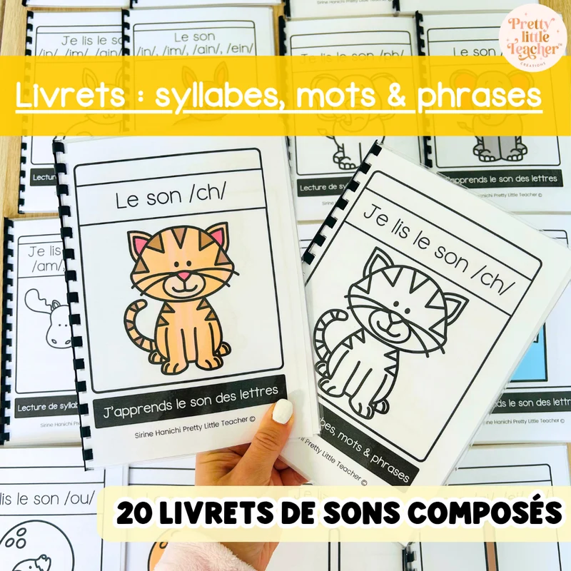 Apprendre à lire les syllabes, mots et phrases (20 livrets de sons composés)