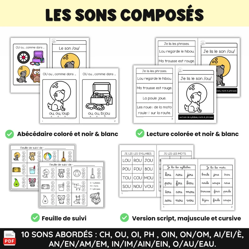 Apprendre à lire les syllabes, mots et phrases (20 livrets de sons composés)