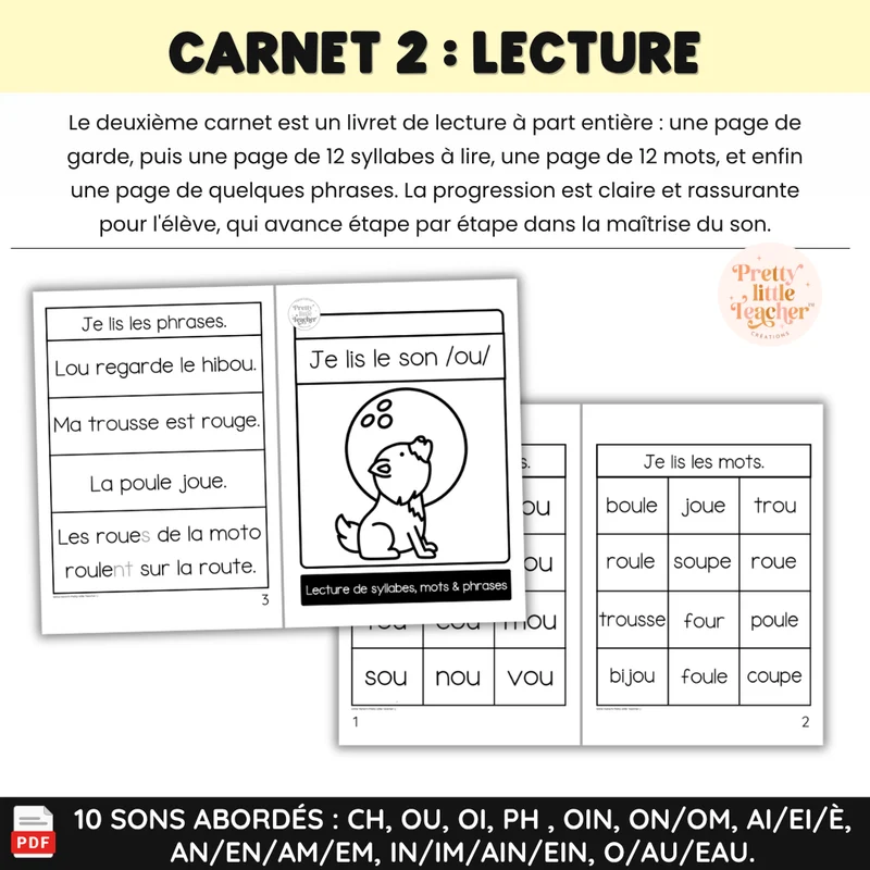Apprendre à lire les syllabes, mots et phrases (20 livrets de sons composés)