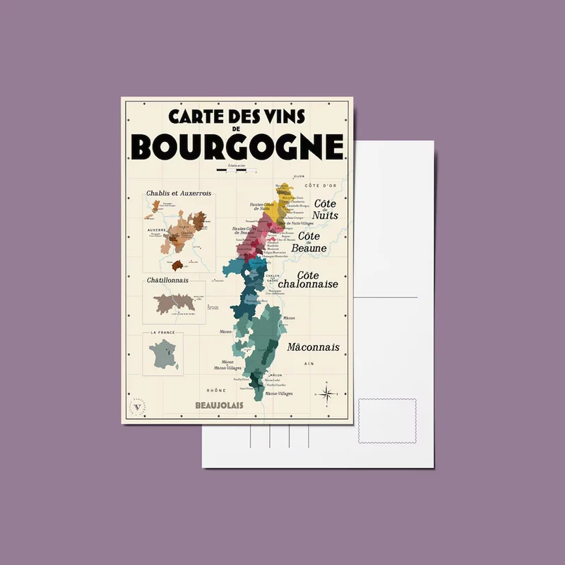 Pack 13 Cartes Postales Les Vins de France - 10 x 15 cm - Ecru