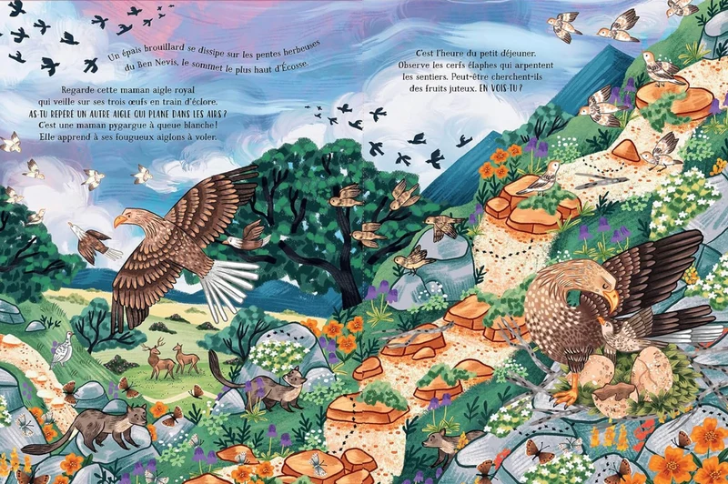Livre | Dans les montagnes secrètes
