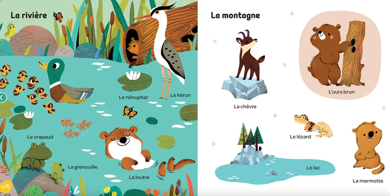 Imagier | Mes 100 mots pour découvrir le monde