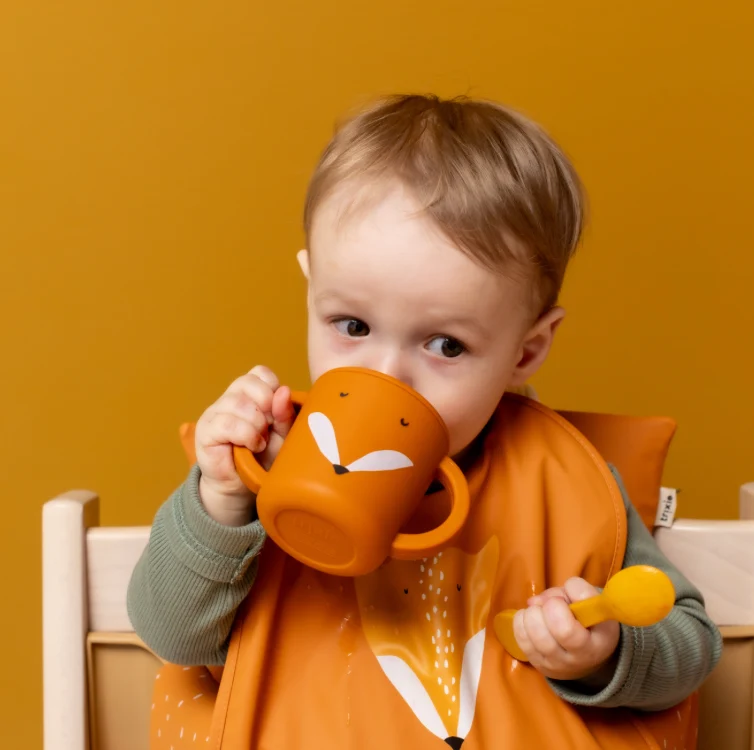 Tasse d'apprentissage | Renard