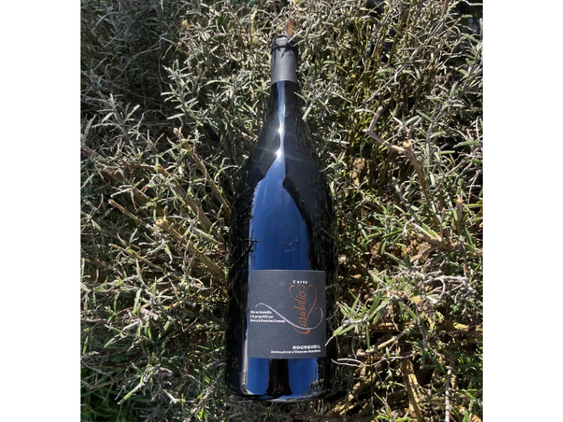 Coffret 1 Magnum de vin AOP Bourgueil