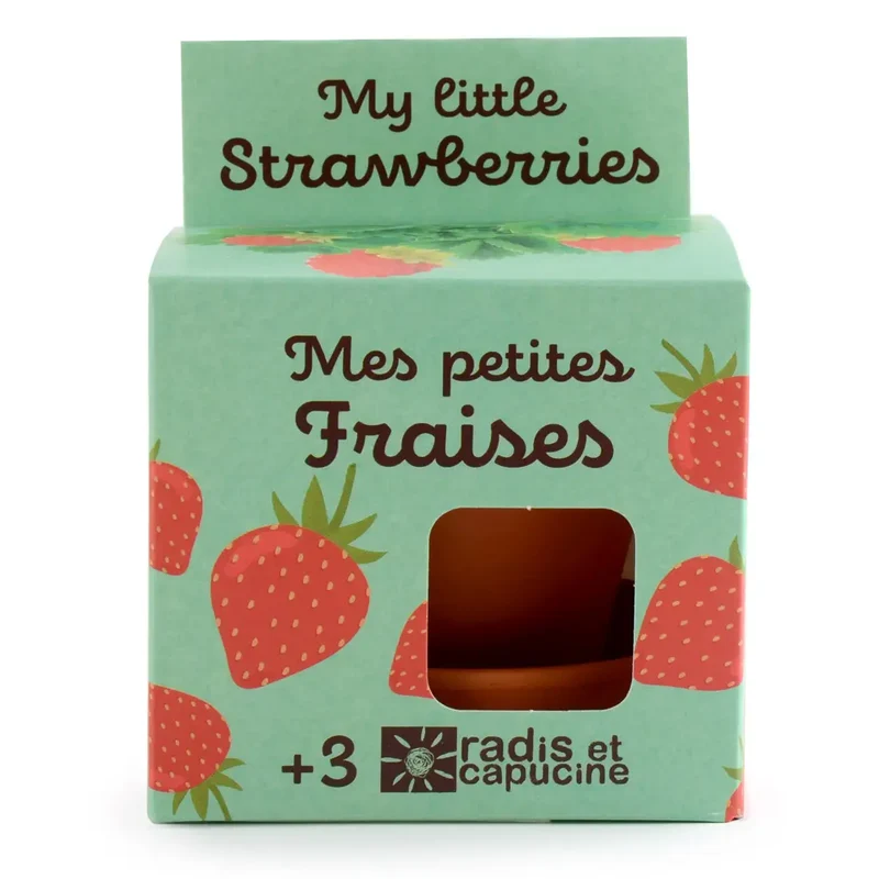 Kit de plantation de fraise