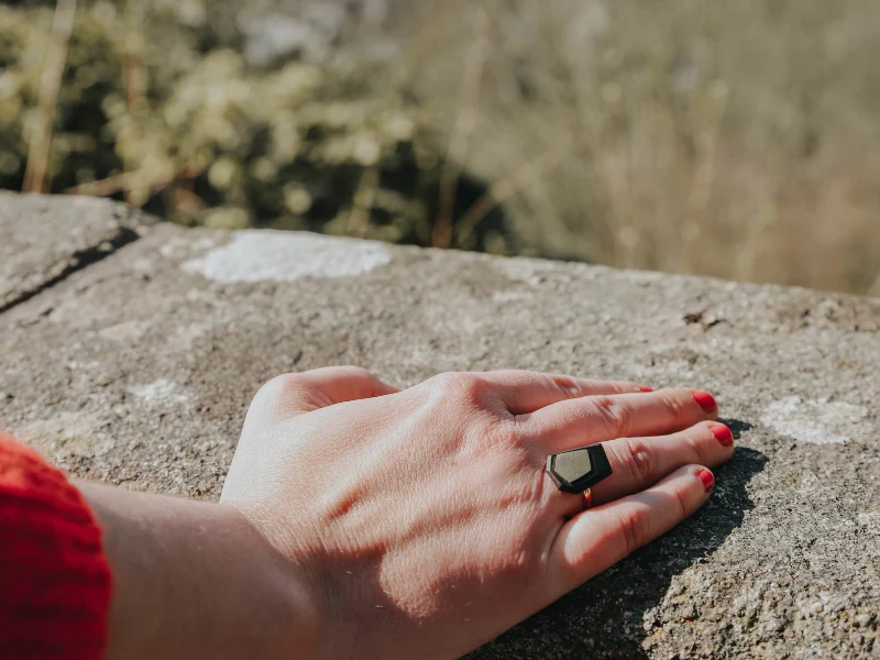 Bague ébène et laiton