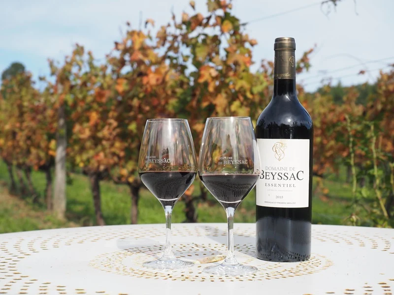 Coffret vin du Sud-Ouest 2 bouteilles rouge AOC Côtes du Marmandais