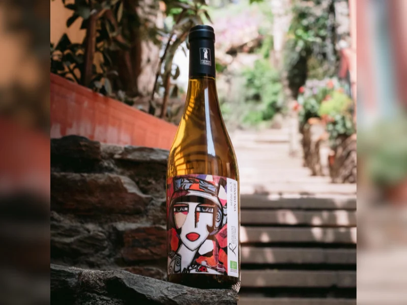 Chardonnay Scène + Pinot Noir Scène + Vin Orange Scène