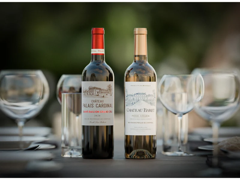 Coffret 2021 Saint-Emilion Grand Cru & Pessac-Léognan Blanc