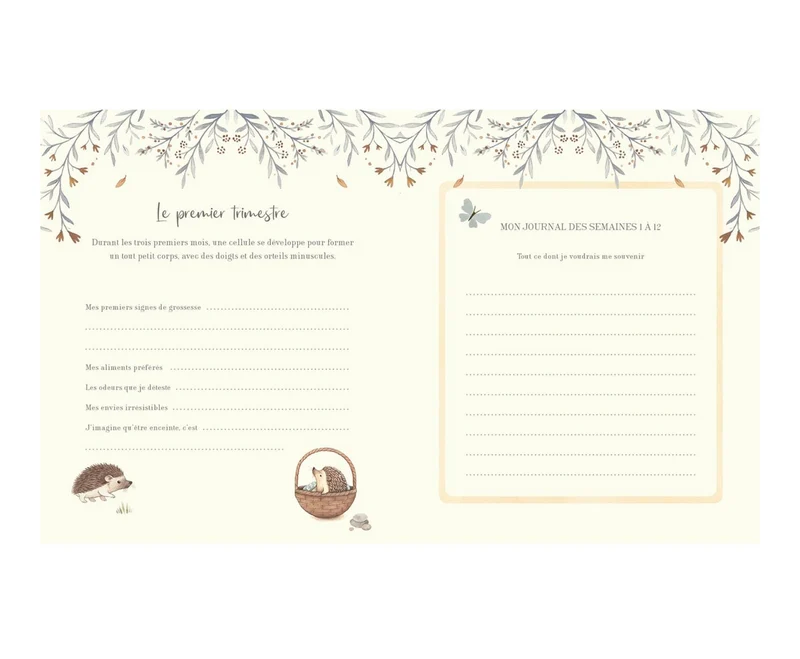 Mon journal de grossesse