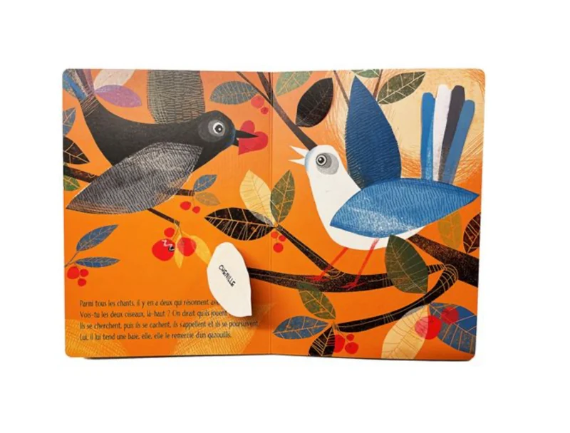 Livre | Petit oiseau prend son envol