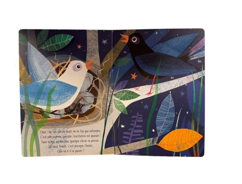 Livre | Petit oiseau prend son envol