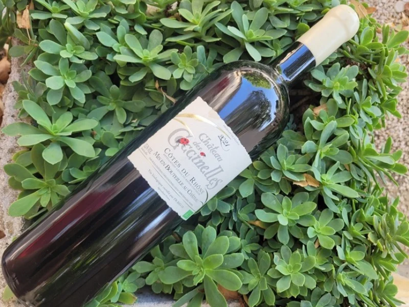 1 bouteille de Magnum Côtes du Rhône Bio