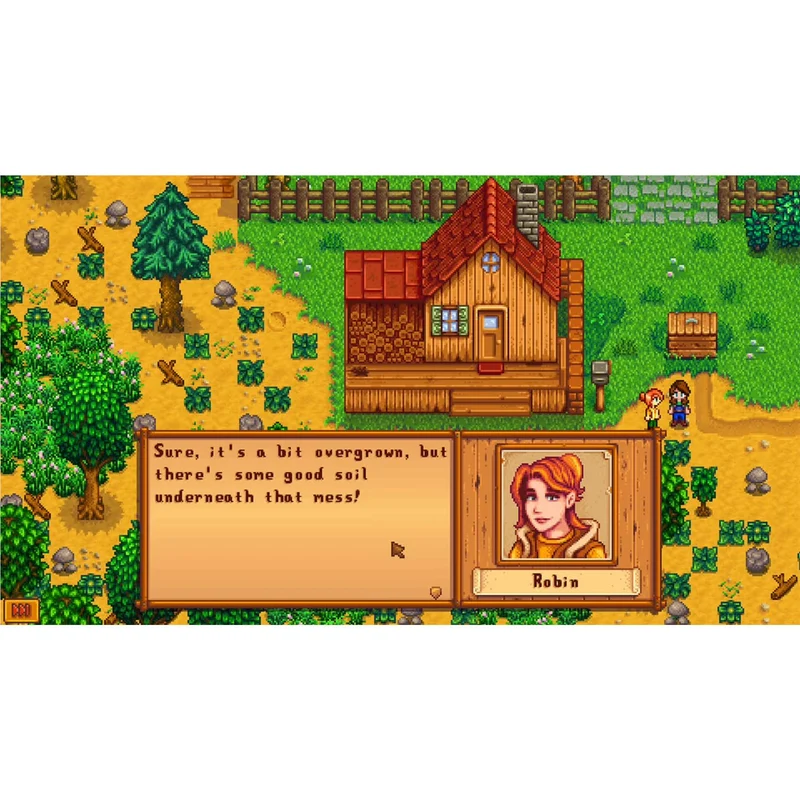 Stardew Valley Nintendo Switch 2 Edition