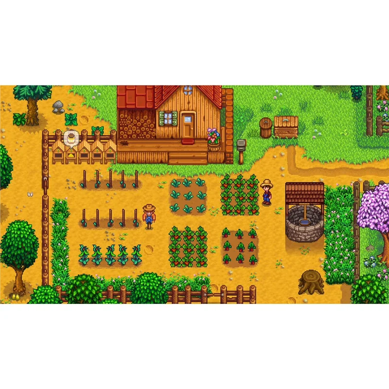 Stardew Valley Nintendo Switch 2 Edition