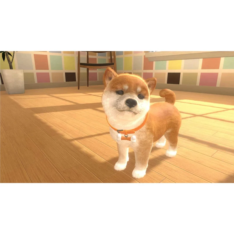Little Friends: Dogs & Cats (Code in Box)