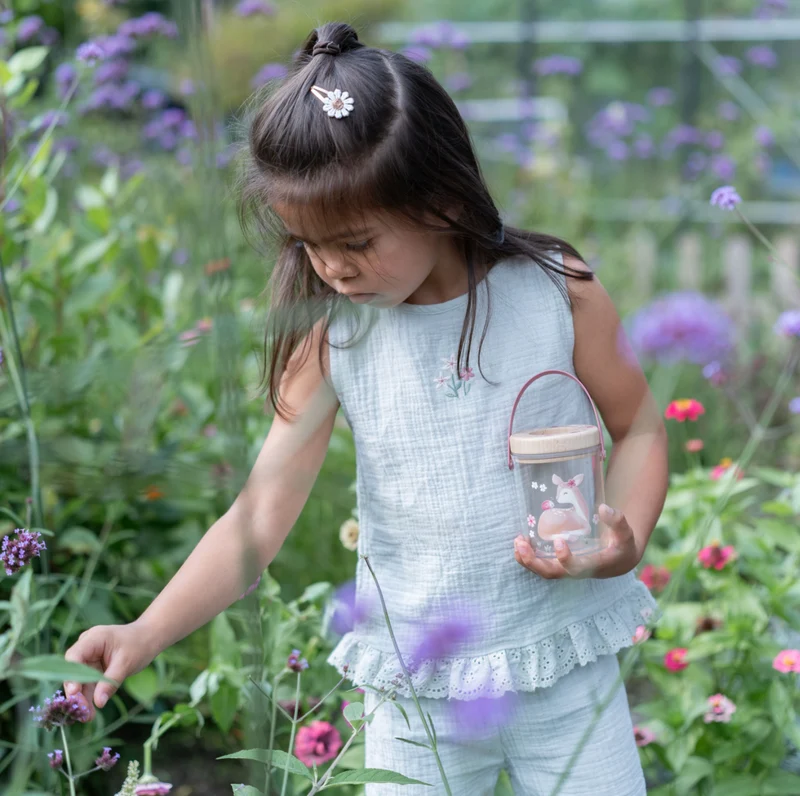 Boîte à insectes | Fairy Garden