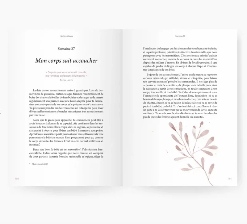 Livre | Guide de grossesse (mere)veilleuse
