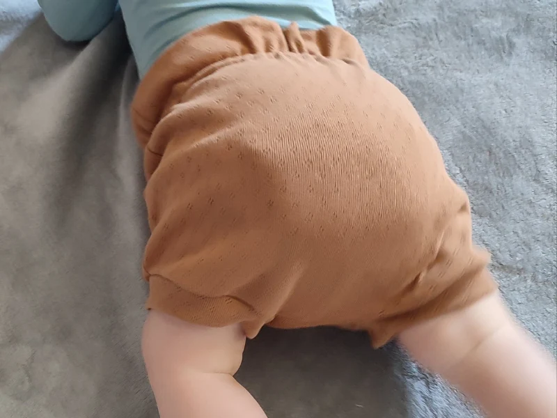 Short évolutif BbPirate