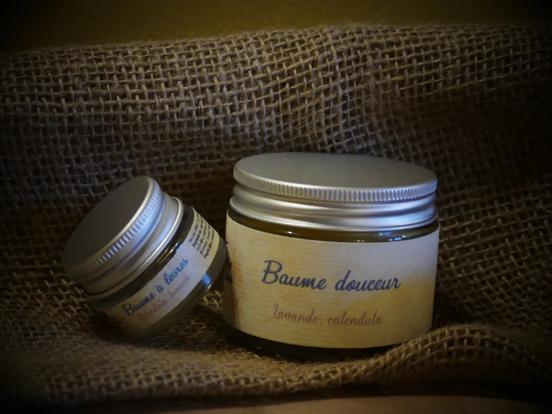 Baumes découverte
