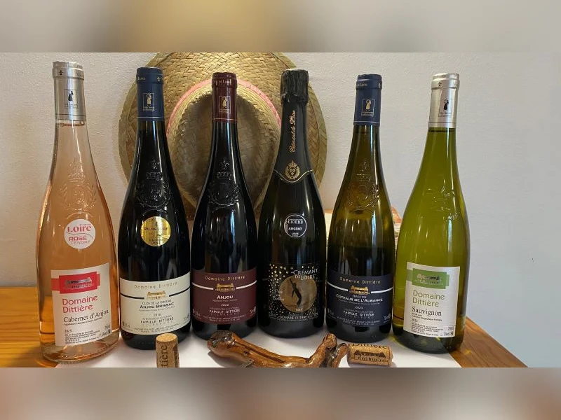 Coffret vin de la Loire 6 bouteilles rouge, blanc, rosé, pétillant